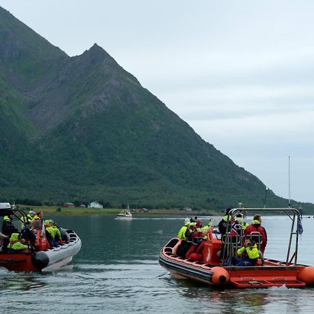 Leilighet Med Fantastisk Utsikt Henningsvær Exterior foto